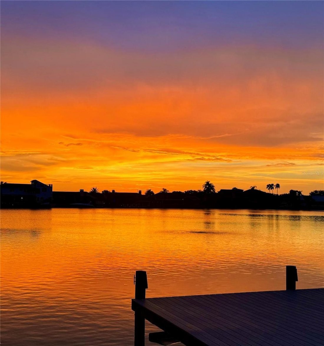 House in Tampa, Florida, United States 3 - 17784887