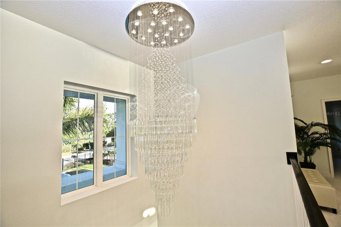 House in Odessa, Florida, United States 5 - 17784884