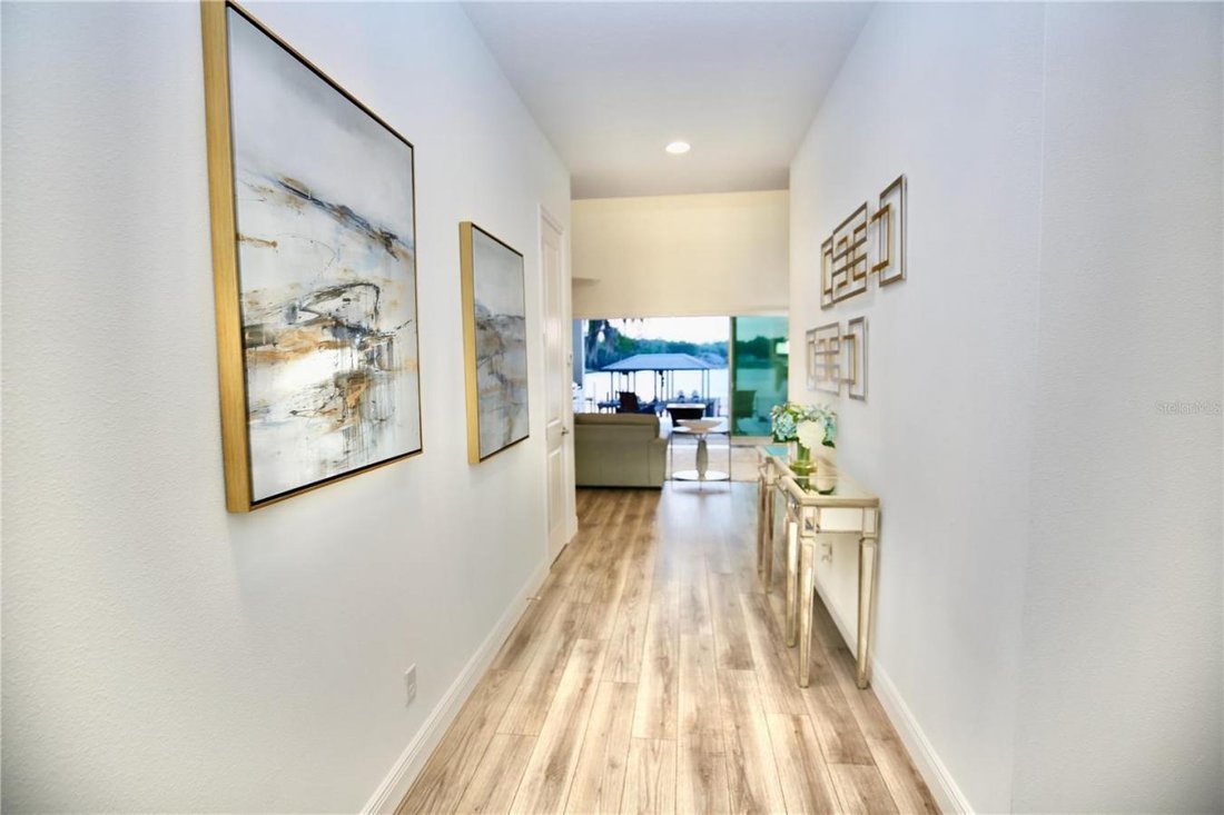 House in Odessa, Florida, United States 4 - 17784884