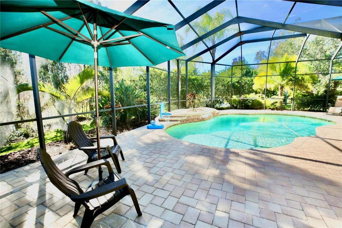 House in Lutz, Florida, United States 2 - 17784889
