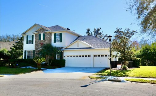 Haus in Lutz, Florida, Vereinigte Staaten 1