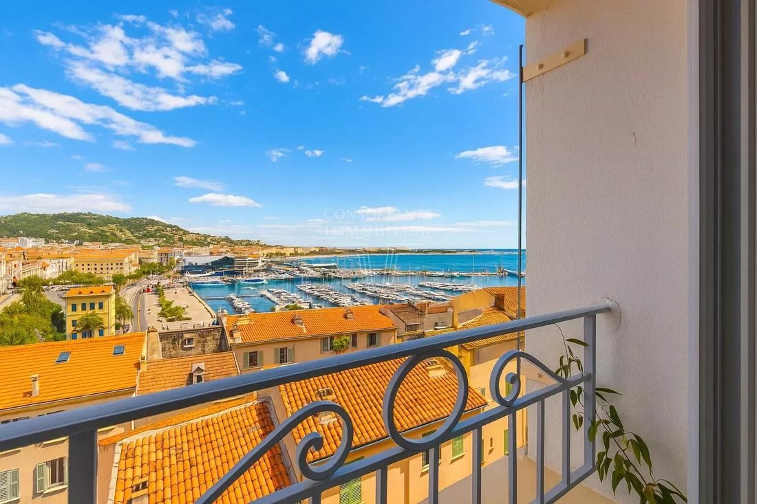 Cannes, Provence-Alpes-Côte d'Azur, France 1 - 15466926
