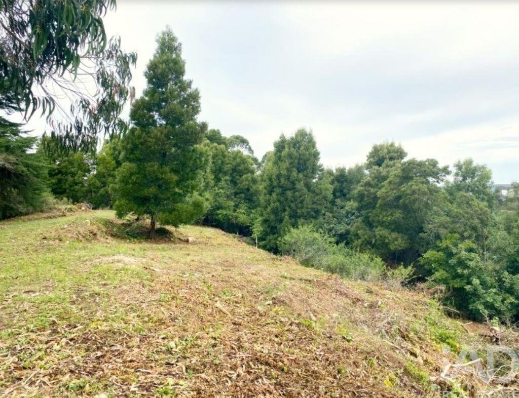 Land in Sintra, Lisbon, Portugal 5 - 17785297