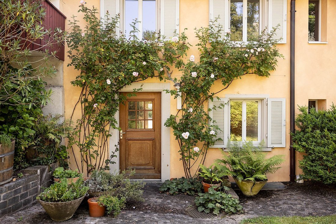 Haus in Zürich, Zürich, Schweiz 5 - 16895752