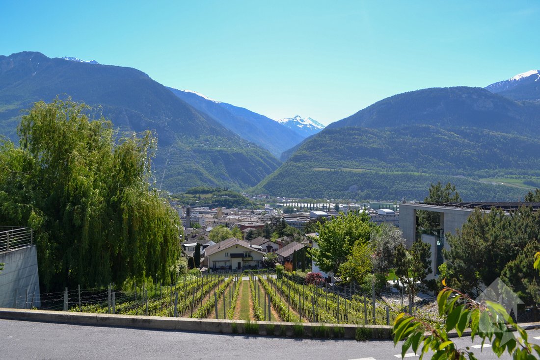 Land in Loc, Valais, Switzerland 5 - 17785004