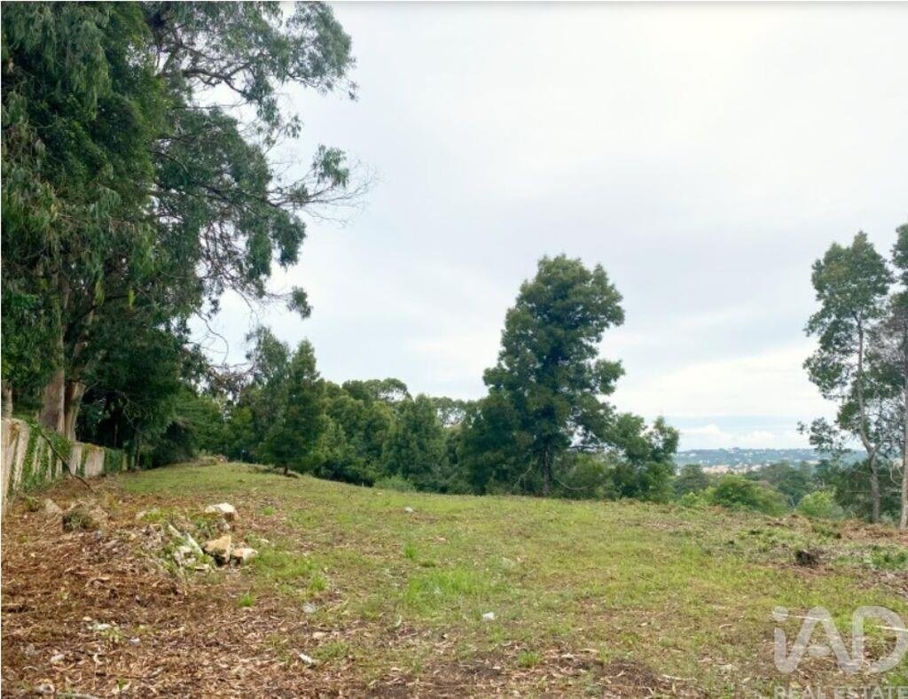 Land in Sintra, Lisbon, Portugal 3 - 17785297