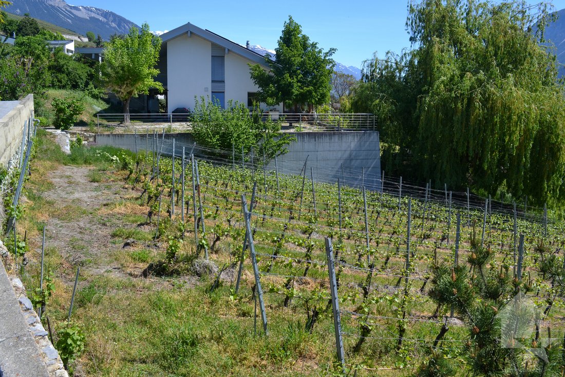 Land in Loc, Valais, Switzerland 4 - 17785004