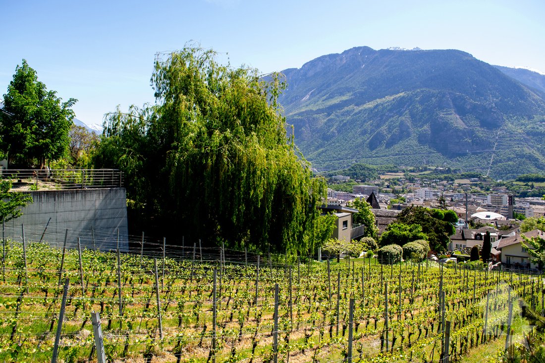 Land in Loc, Valais, Switzerland 3 - 17785004