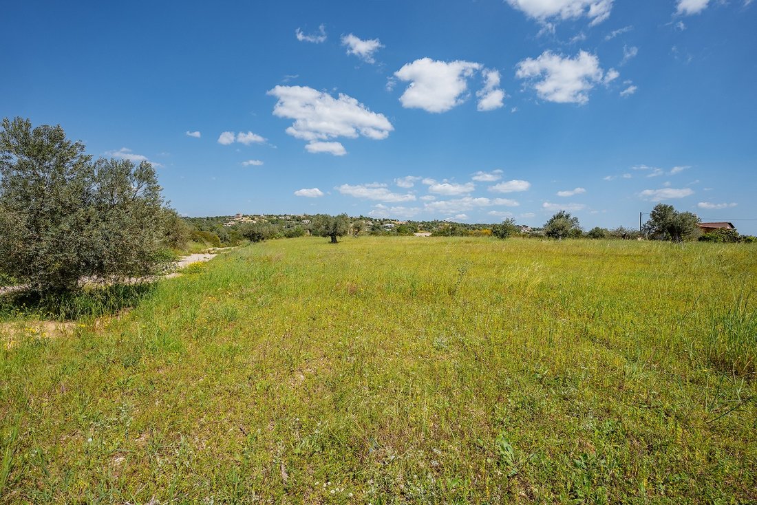 Land in Koinotita Portoxeliou, Kranidi, Greece 3 - 17785246