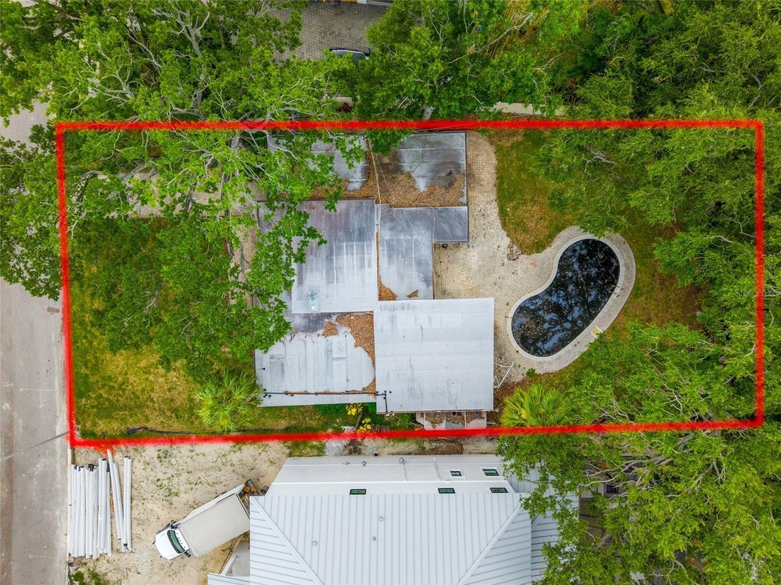 House in Tampa, Florida, United States 3 - 17785315