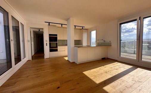 Penthouse in Wien, Wien, Österreich 1