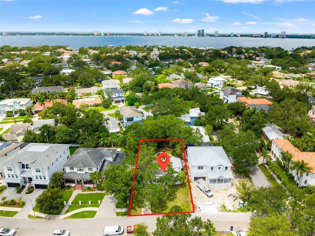 House in Tampa, Florida, United States 1 - 17785315
