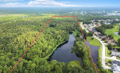 Land in Odessa, Florida, United States 1