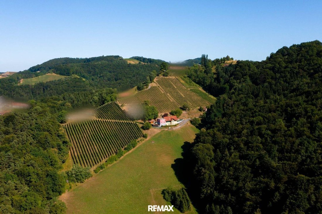House in Leibnitz, Styria, Austria 3 - 17785260