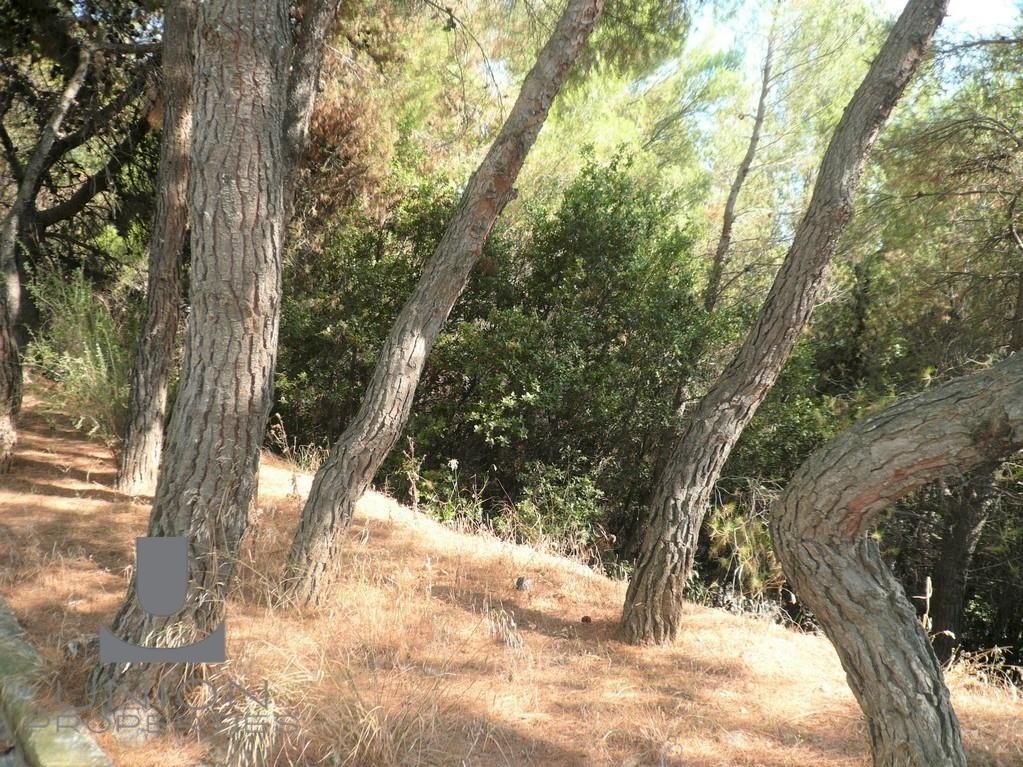 Land in Kifisia, Attica, Greece 2 - 17790090