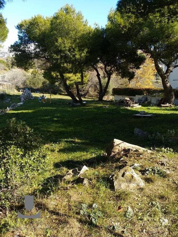 Land in Melissia, Attica, Greece 1 - 17789076