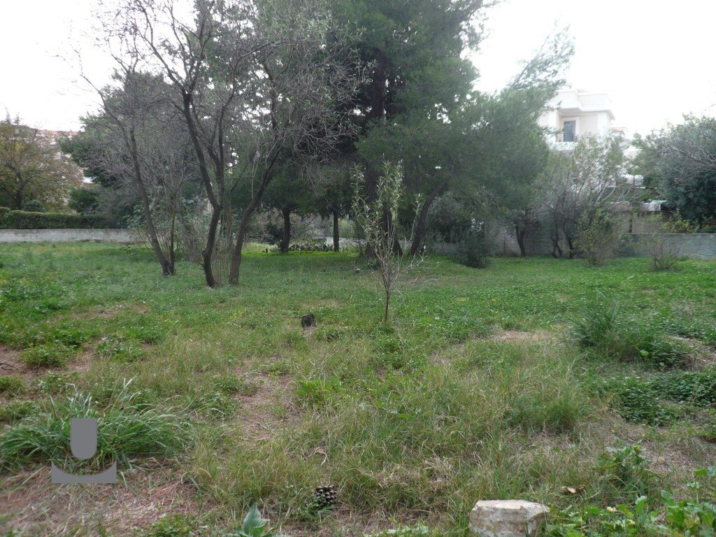 Land in Penteli, Attica, Greece 4 - 17785761