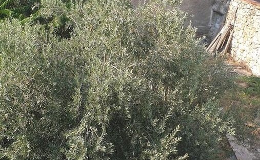 Land in 5th District of Piraeus, Piraeus, Griechenland 1