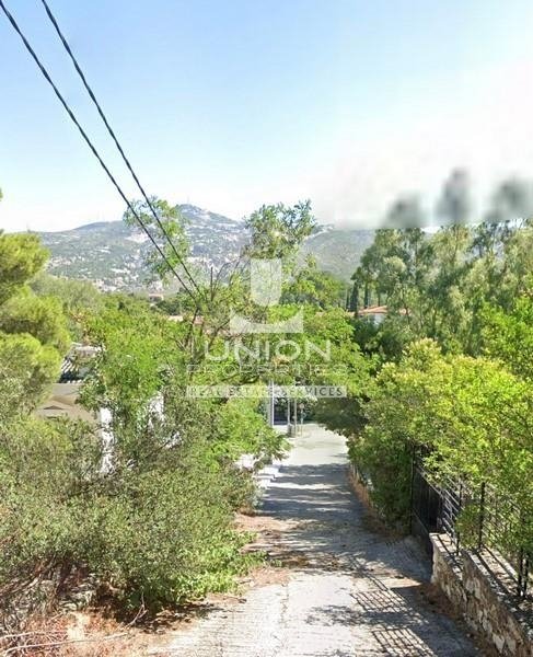 Land in Penteli, Attica, Greece 5 - 17785598
