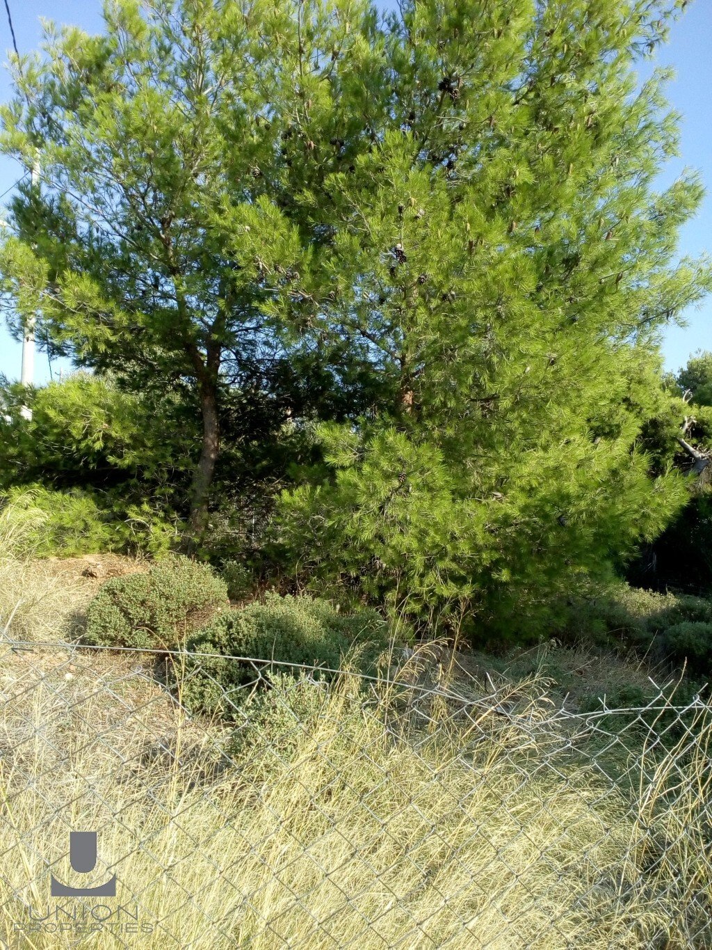 Land in Melissia, Attica, Greece 4 - 17785627