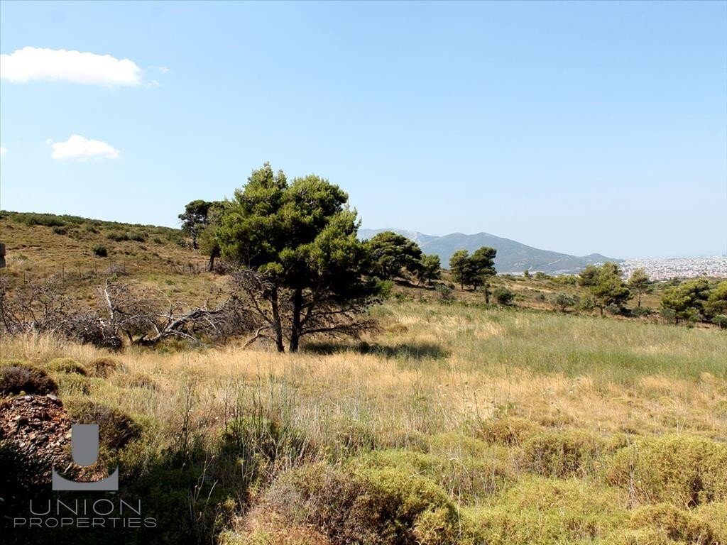 Land in Penteli, Attica, Greece 1 - 17785637