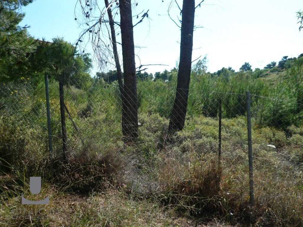 Land in Penteli, Attica, Greece 5 - 17785846