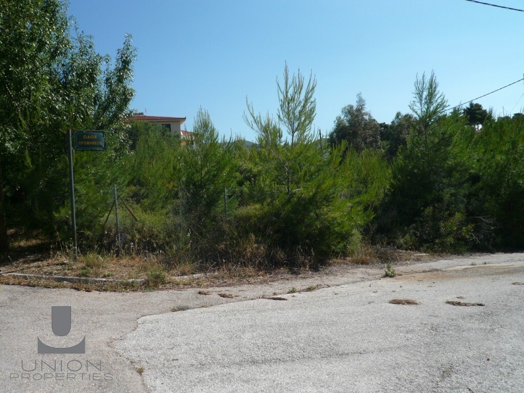 Land in Penteli, Attica, Greece 2 - 17785846
