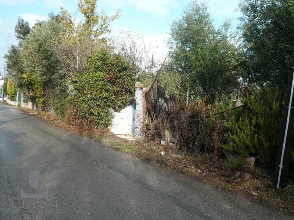 Land in Penteli, Attica, Greece 4 - 17788272