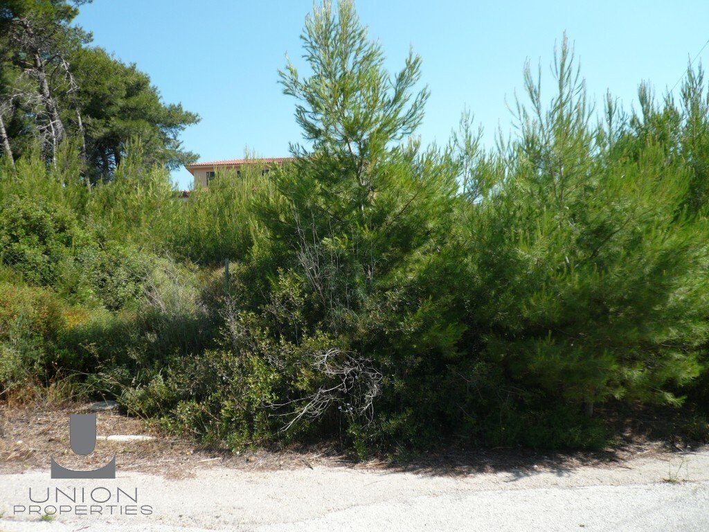 Land in Penteli, Attica, Greece 3 - 17785846