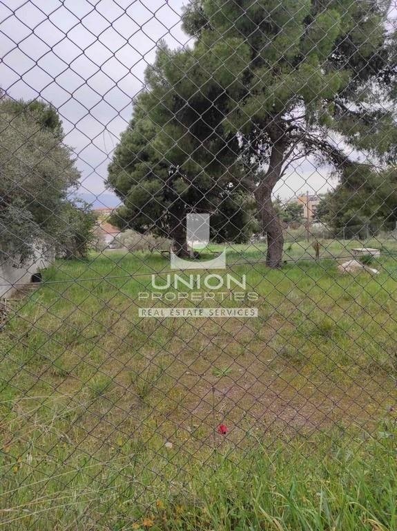 Land in Kifisia, Attica, Greece 2 - 17786009