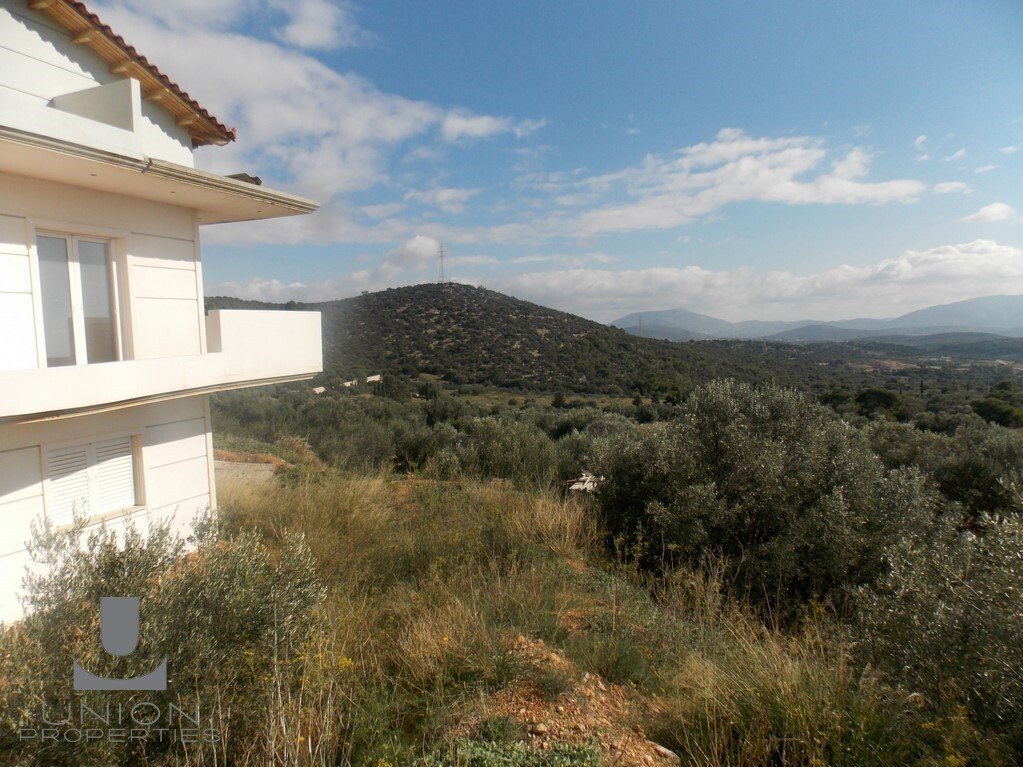 Kropia, Attica, Greece 4 - 17787337
