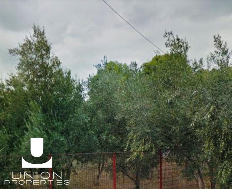 Land in Kifisia, Attica, Greece 1 - 17785705