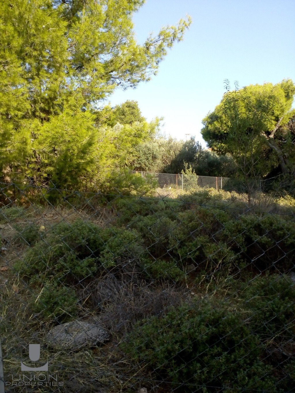 Land in Melissia, Attica, Greece 1 - 17785627