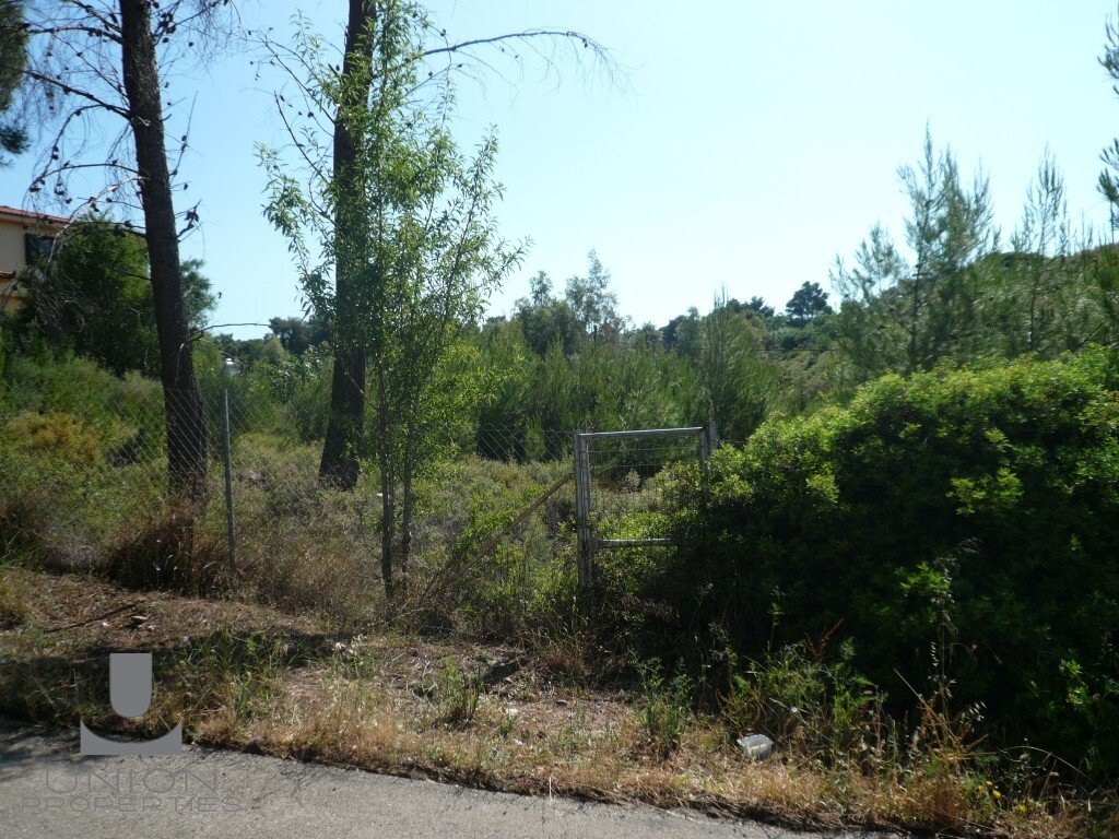 Land in Penteli, Attica, Greece 1 - 17785846