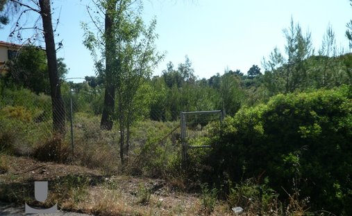 Land in Penteli, Attica, Greece 1