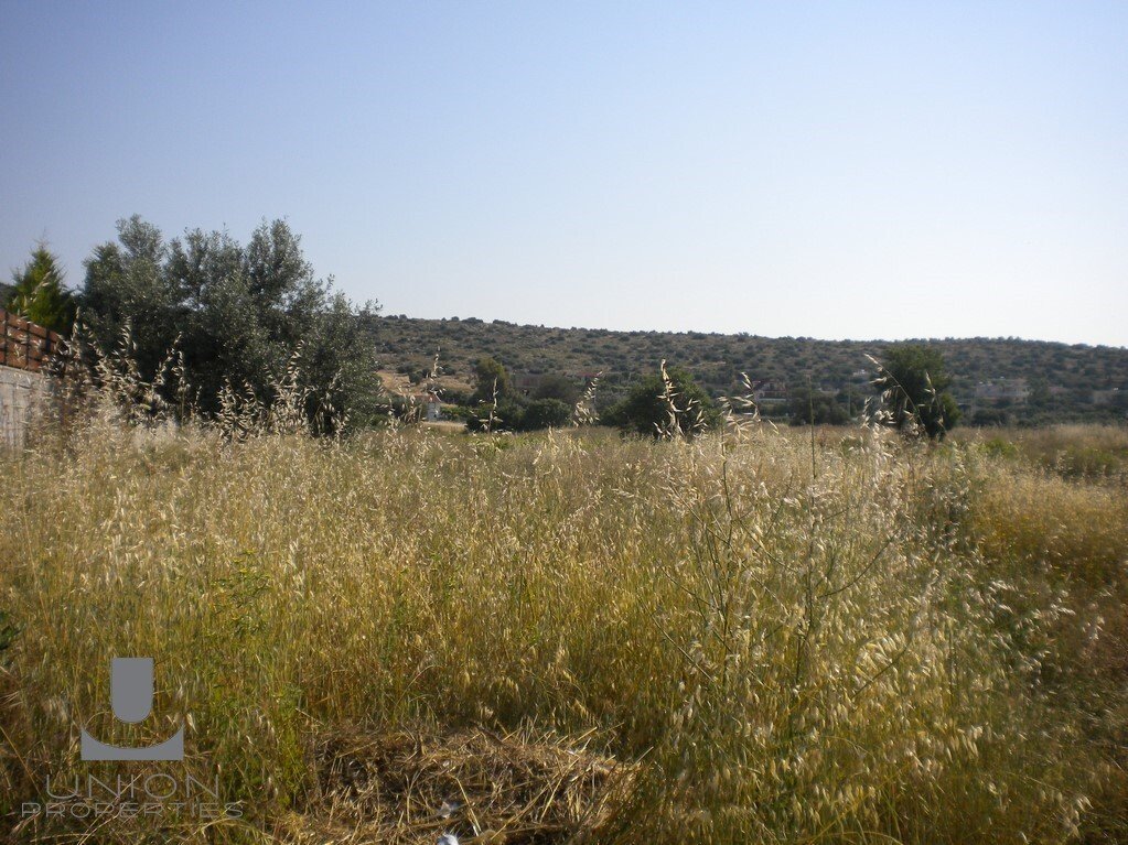 Land in Kropia, Attica, Greece 3 - 17785594
