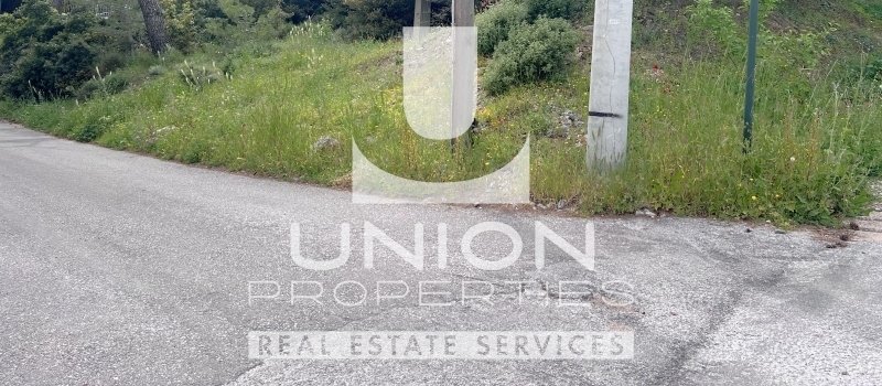 Land in Penteli, Attica, Greece 3 - 17785952