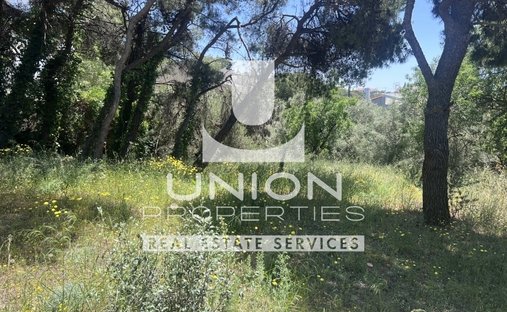 Land in Penteli, Attica, Greece 1