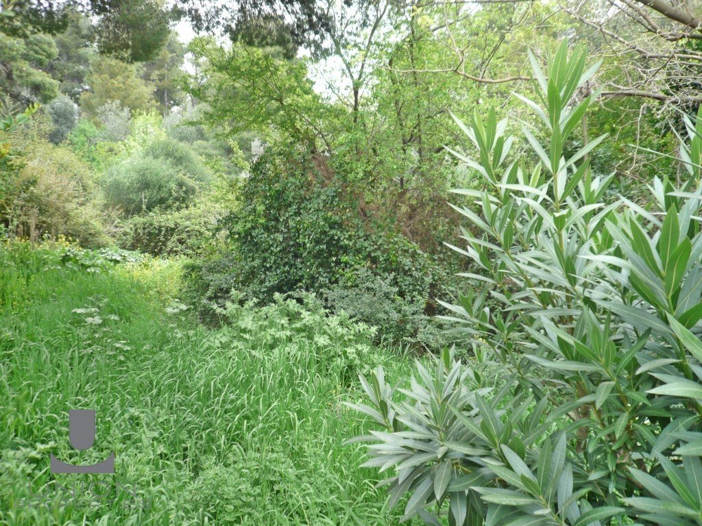 Land in Penteli, Attica, Greece 1 - 17786008