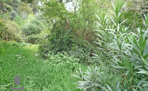 Land in Penteli, Attica, Greece 1