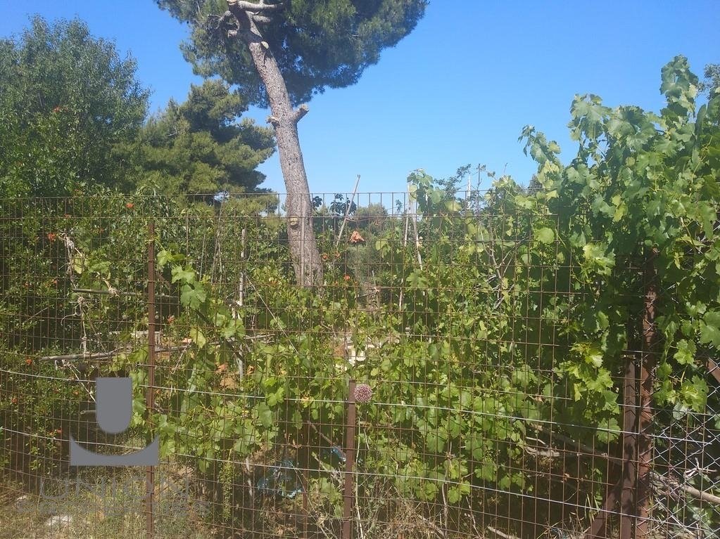 Land in Kifisia, Attica, Greece 1 - 17789728