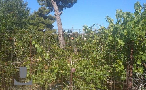 Land in Kifisia, Attica, Greece 1