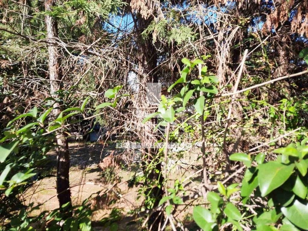 Land in Kifisia, Attica, Greece 4 - 17785592