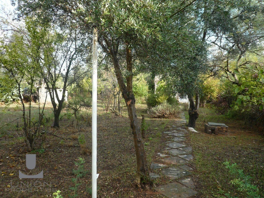 Land in Penteli, Attica, Greece 1 - 17788272