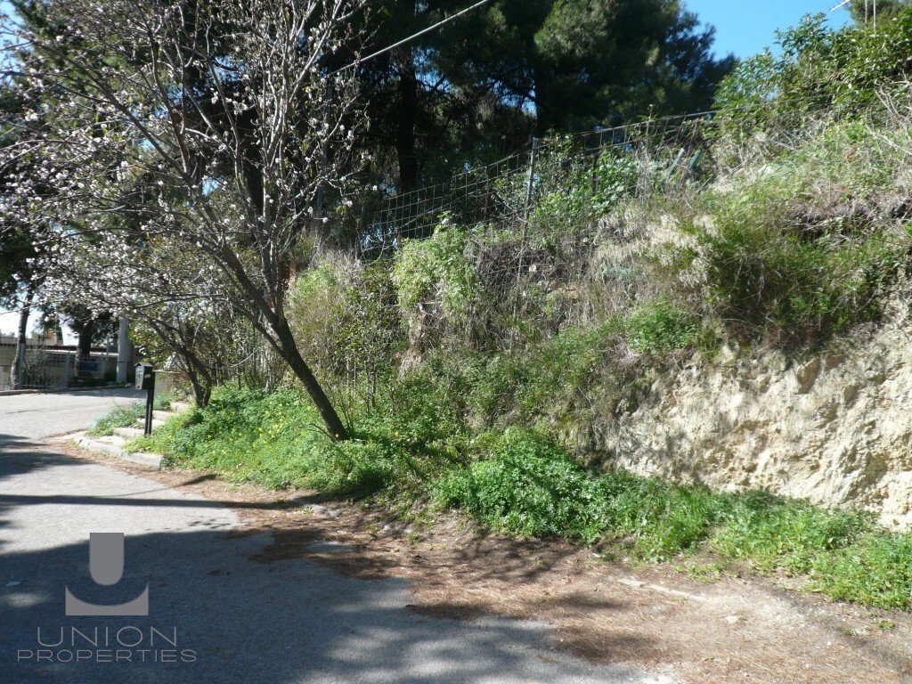 Land in Nea Penteli, Attica, Greece 1 - 17785810