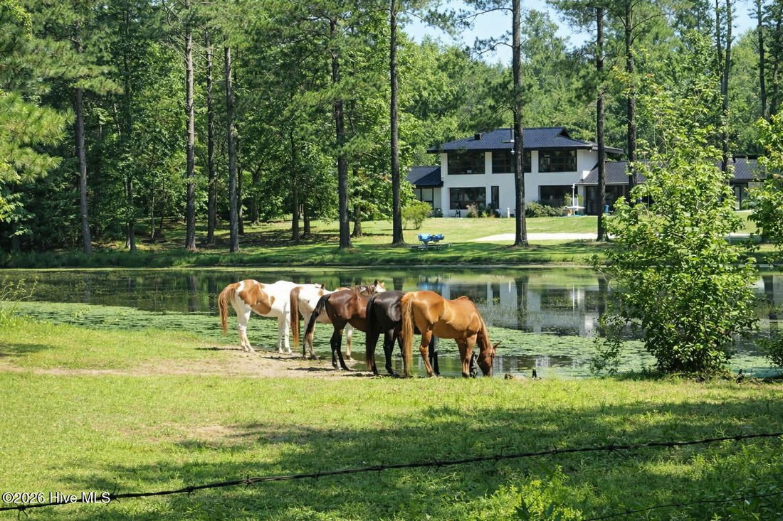 House in Rockingham, North Carolina, United States 1 - 17785305