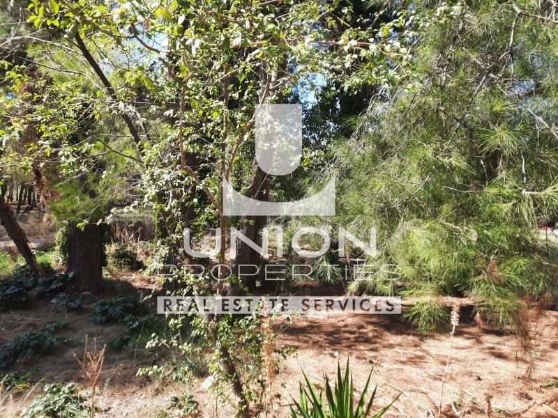 Land in Dionysos, Attica, Greece 5 - 17785647