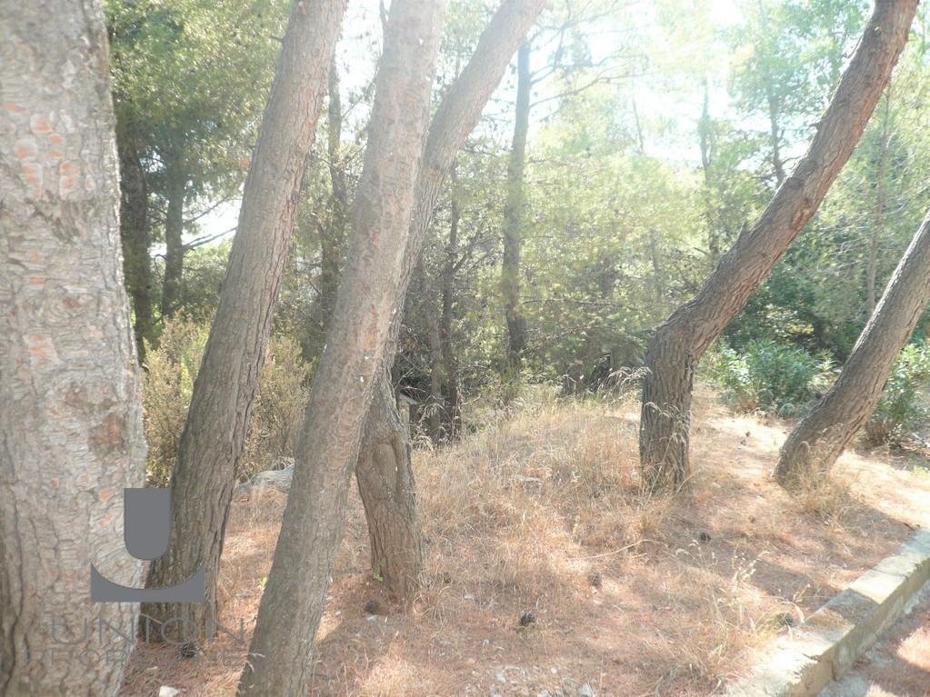 Land in Kifisia, Attica, Greece 4 - 17790090