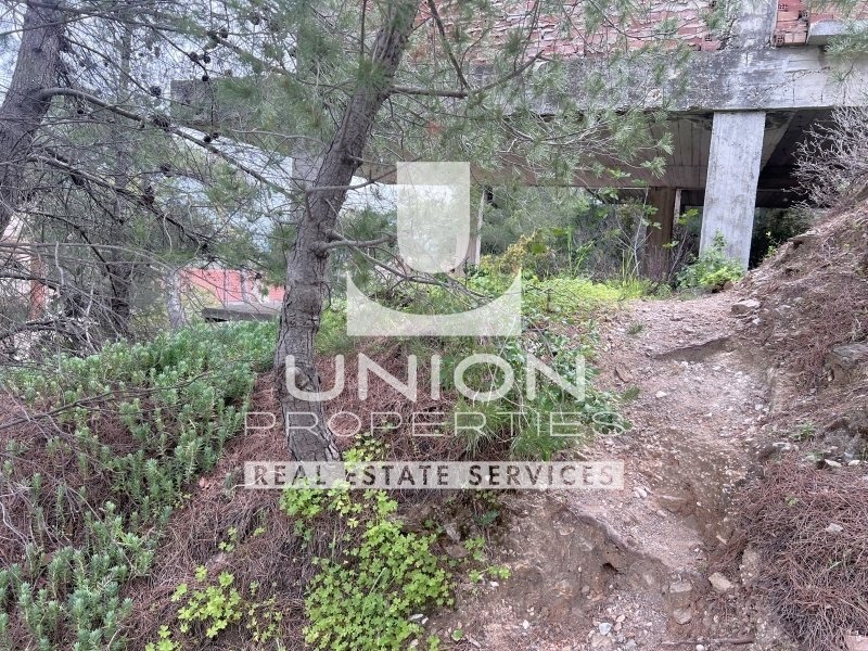 Land in Penteli, Attica, Greece 5 - 17785952