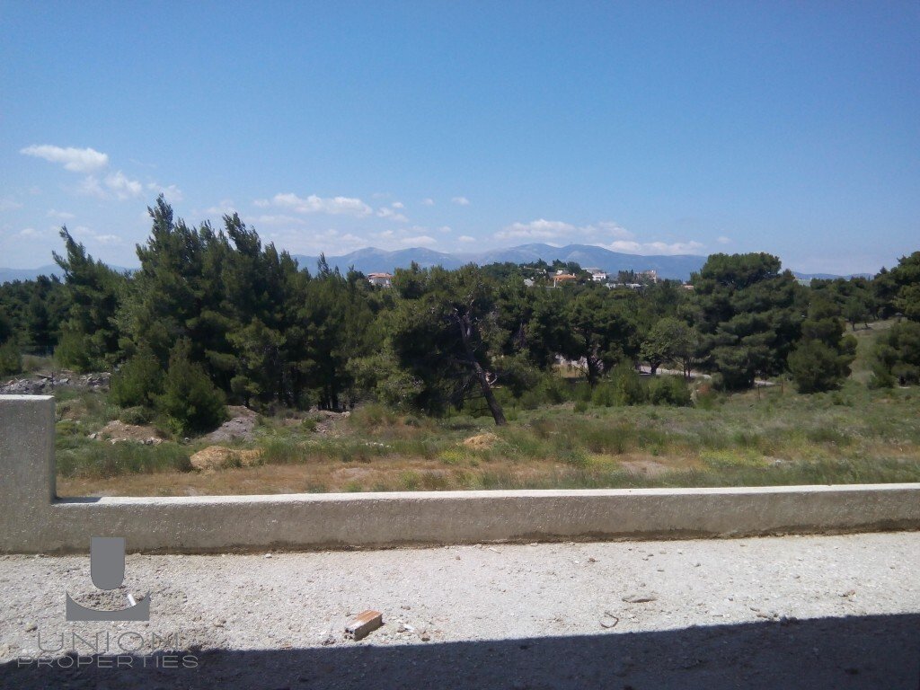 Apartment in Melissia, Attica, Greece 2 - 17785926